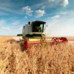 Agricultura Inteligente: Impulsa tu Cultivo con Inteligencia Artificial